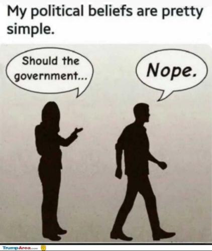 USA political