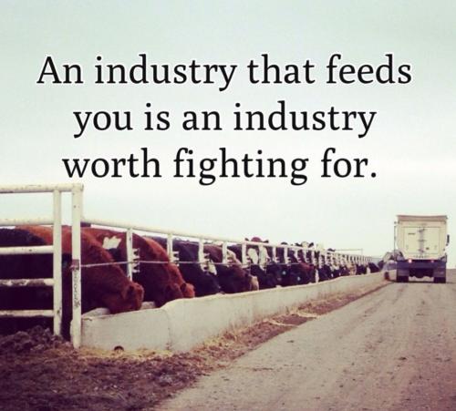 158dfdb9-6bc1-4234-9b7a-ef5804cf6ca2