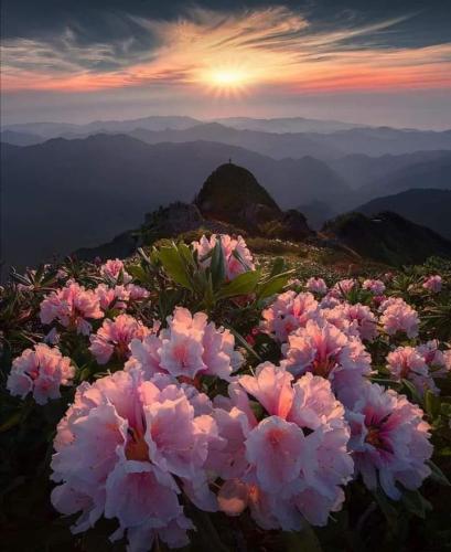 FB_IMG_1657466180669