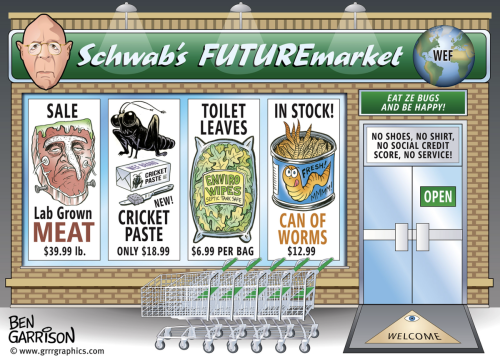 SchwabFutureToHellWithLiberals