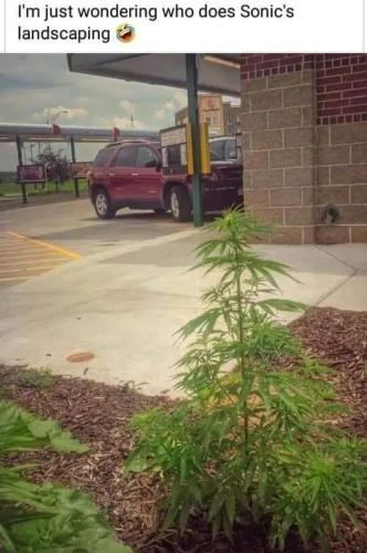 img_1_1657330447875(1)