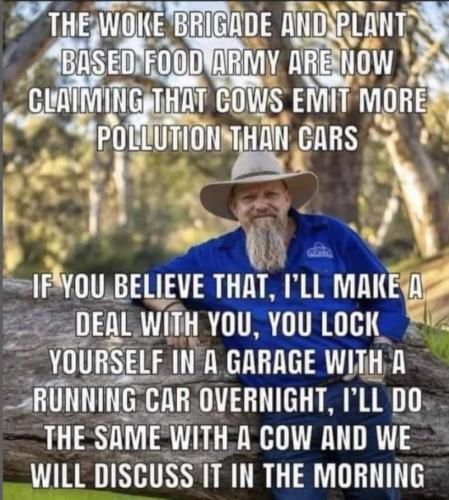 cows worse than cars