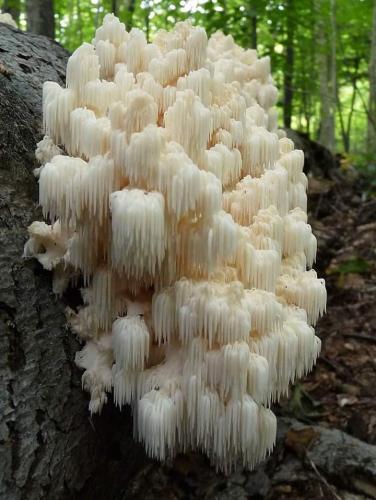 FB_IMG_1659182641065