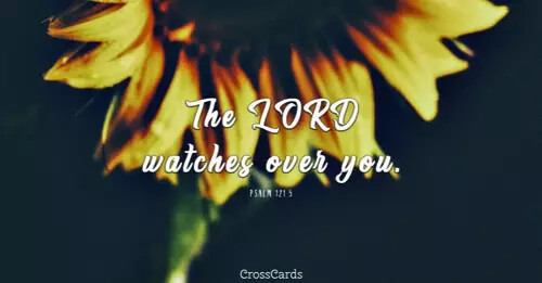 55496-psalm-121-5-cc.1100w.tn