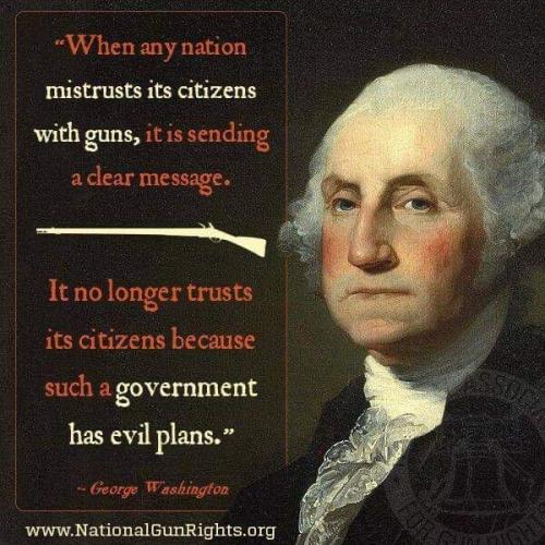 Washington trust guns