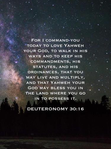 6C167C3B-3E14-4A67-9A77-E37D651784E2