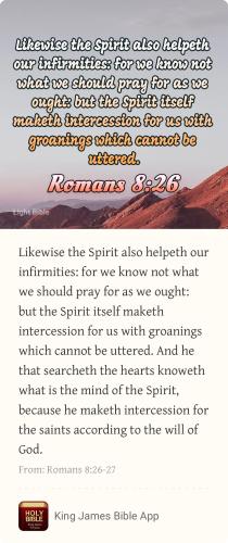 78838271-E923-45ED-8873-A3E425429CA0