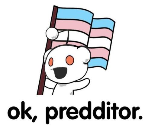 preditor groomer