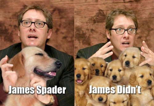 spader