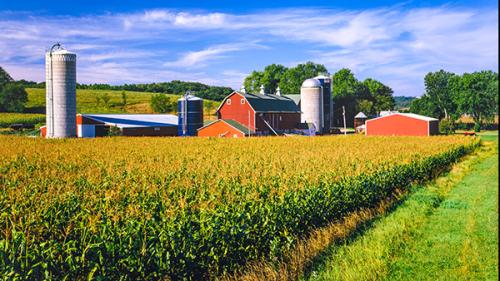 Farmland