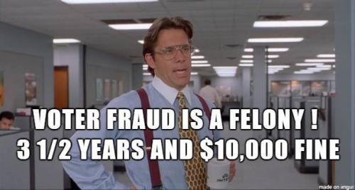 VoteFraud1