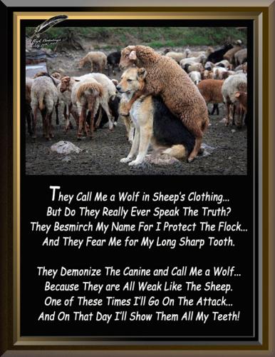 Wolf in Sheeps Clothing