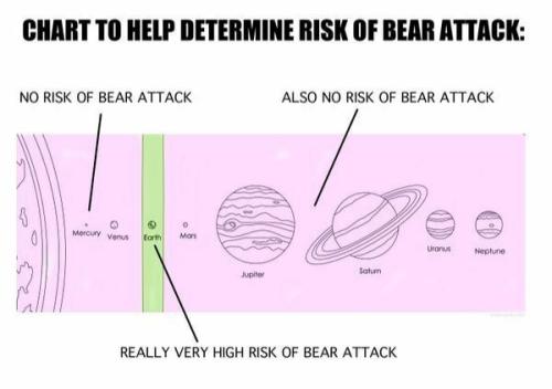 Risk of bear attack
