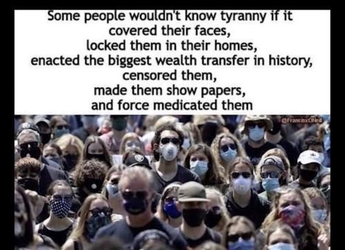 IMG_20220728_083253_004