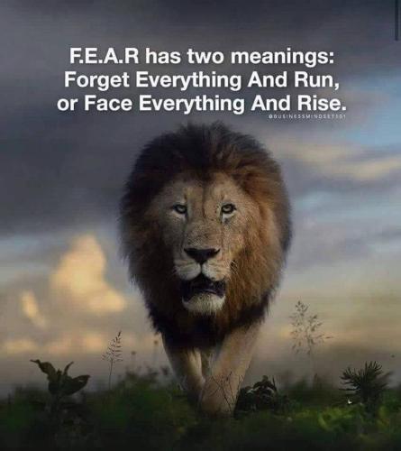 Fear has 2 meanings