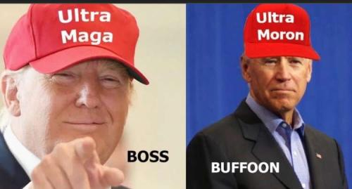 MAGA - Ultra Maga vs Ultra Moron