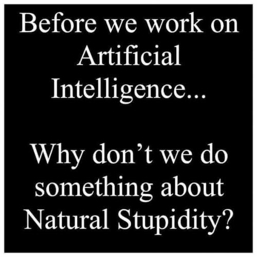 Artificial intelligence vs. Natural stupidity