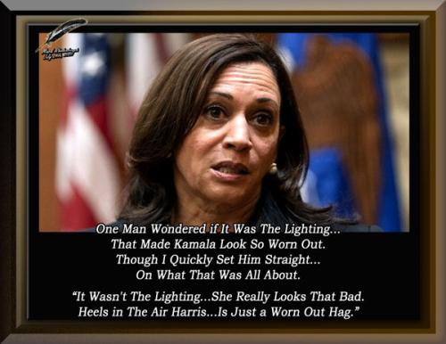 Kamala Harris ~Woren Out Old Hag~