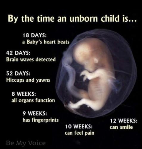 BE5BE35D-4D9E-4E37-B3F7-94D0217A3273