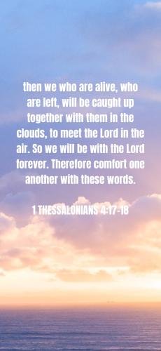 91820F7B-D7AD-41CC-A530-495550E41BAE