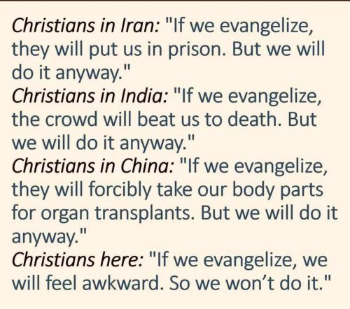 FB_IMG_1659013738392