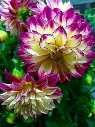 FB_IMG_1656939936093