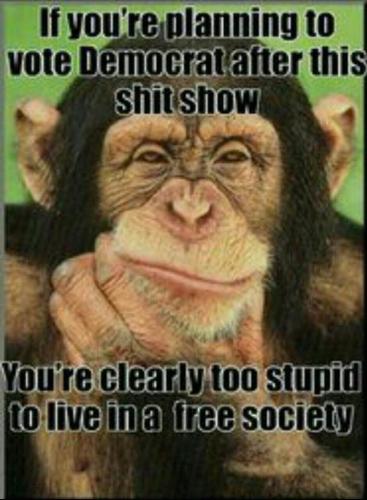 FB Shit show