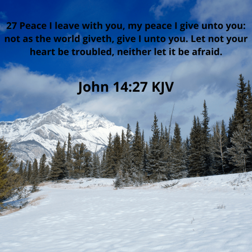 AF61BD089D2F785B7E658B7E1B80D4BA.bible111-min