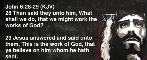 John 6.28