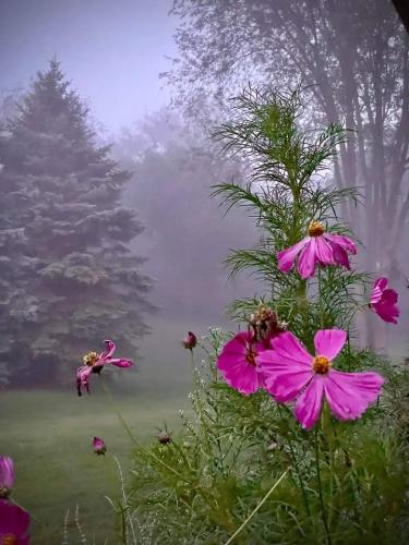 FB_IMG_1659184568218