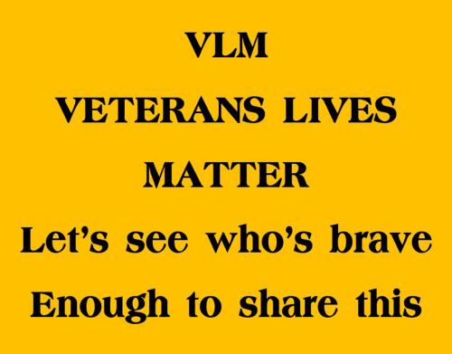 VLM