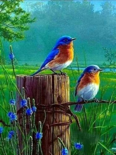 FB_IMG_1656692840459