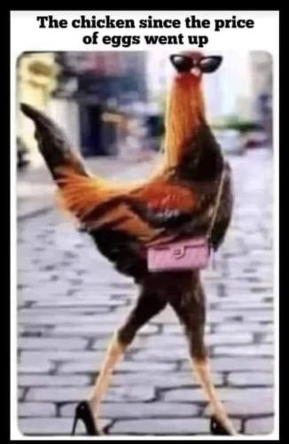 FB_IMG_1659184336219