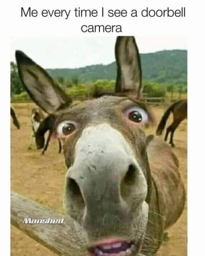 IMG_20220728_175032_143