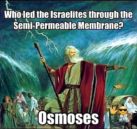 osmoses