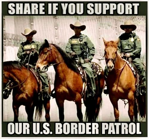 Boarder Patrol copy