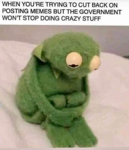 FB_IMG_1658623945702