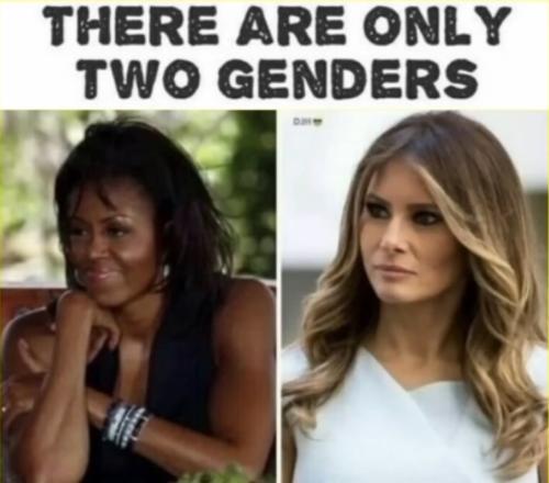 xephula_21fe101e4320866019a1e28a2449e0cc