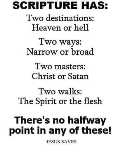 B05B7D3E-4BC1-4DA1-BD95-5D735330138C