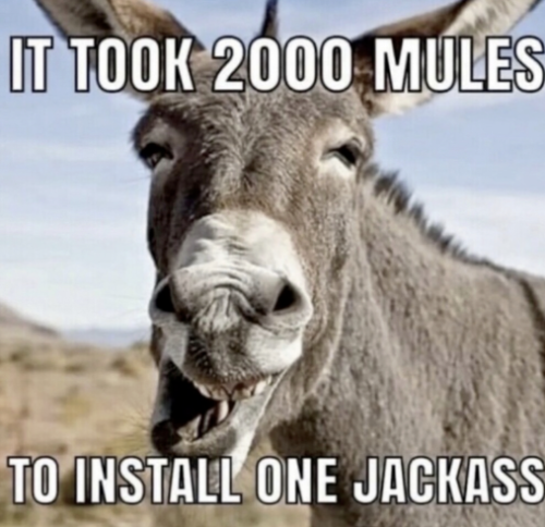 Capture+_2022-05-13-03-57-53(1)