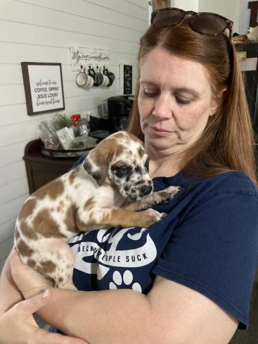 Auggie 12 - Jul 11, 2022