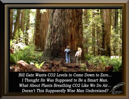 Bill Gate ~ CO2 Levels to Zero~ 1