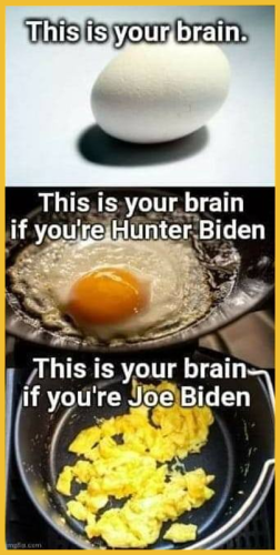 USA brain