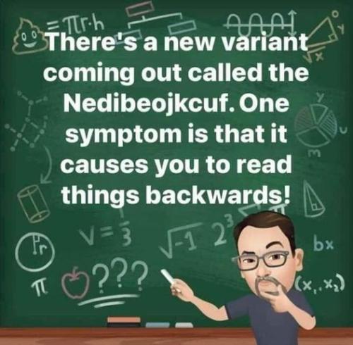 295819161_8523961094296292_7052295318213166730_n