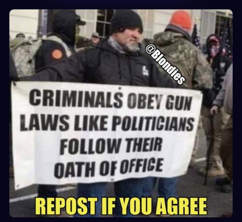 criminals vs politicians