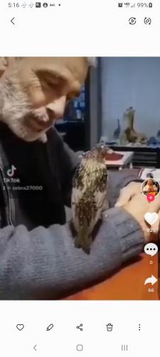 Screenshot_20220722-051642_Gallery