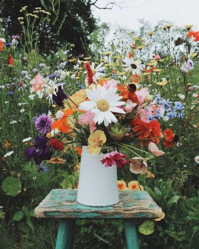 FB_IMG_1656693378457