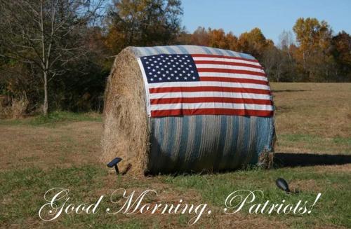 Good Morning 44