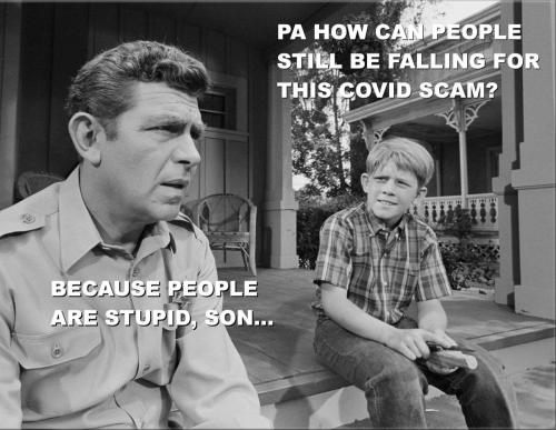cause people are stupid