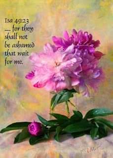 FB_IMG_1658745996304